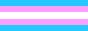 Button with a transgender pride flag